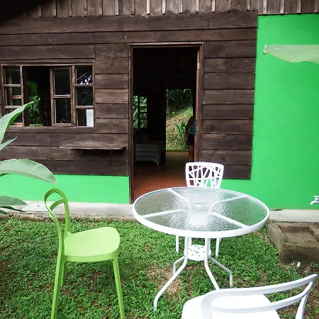Selva Color - Forest & Beach Ecolodge Quebrada Ganado Exterior photo