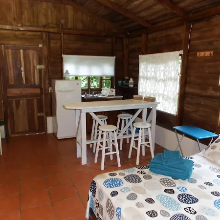 Selva Color - Forest & Beach Ecolodge Quebrada Ganado Exterior photo