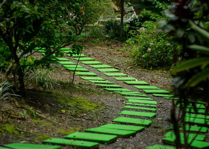 Selva Color - Forest & Beach Ecolodge