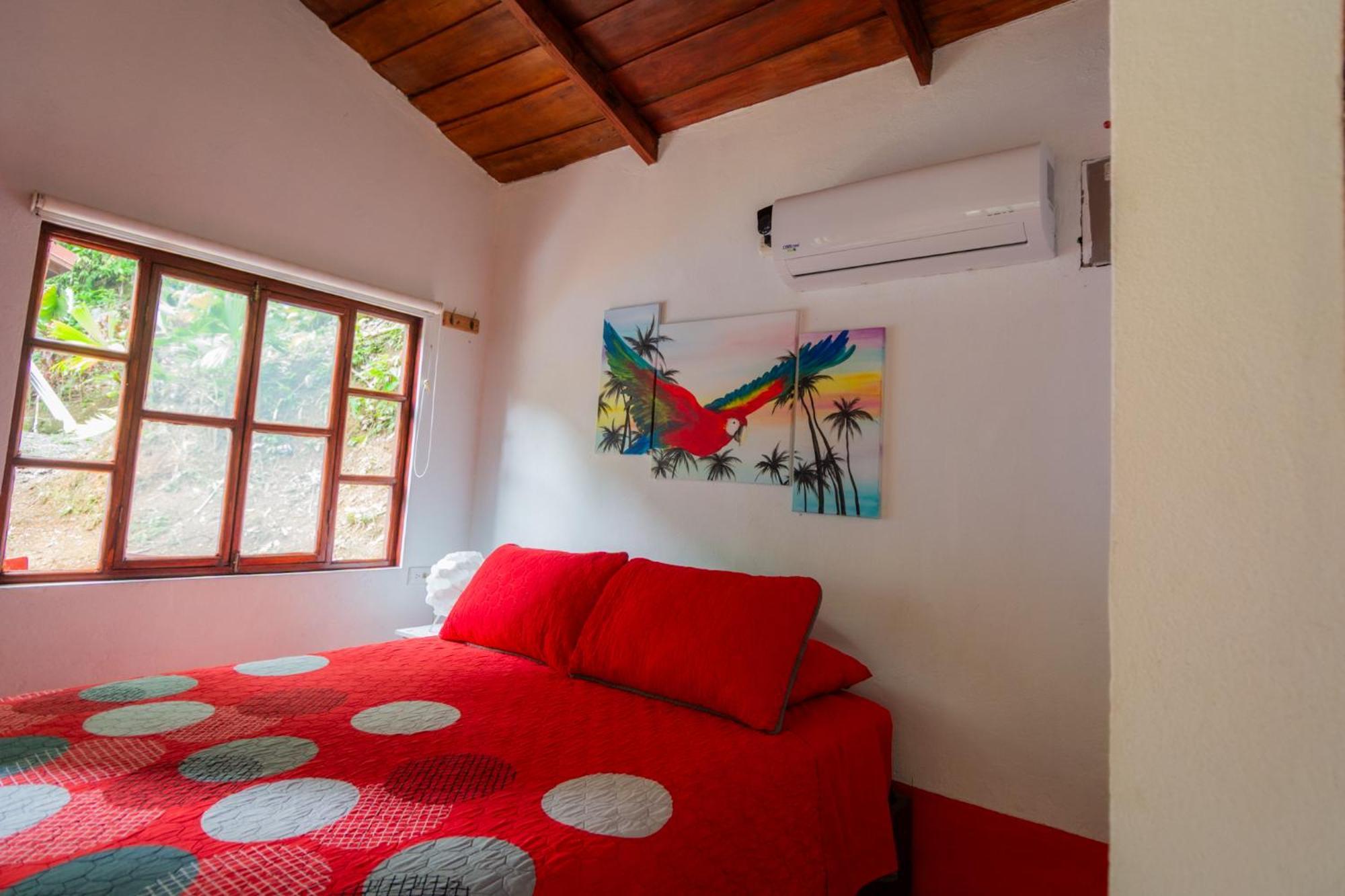 Lodge Selva Color - Forest & Quebrada Ganado