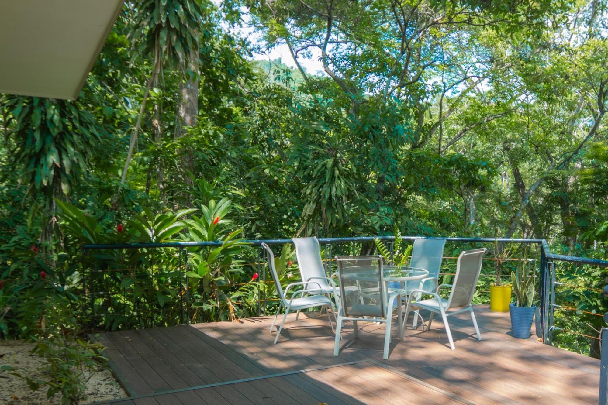 Selva Color - Forest & * Quebrada Ganado