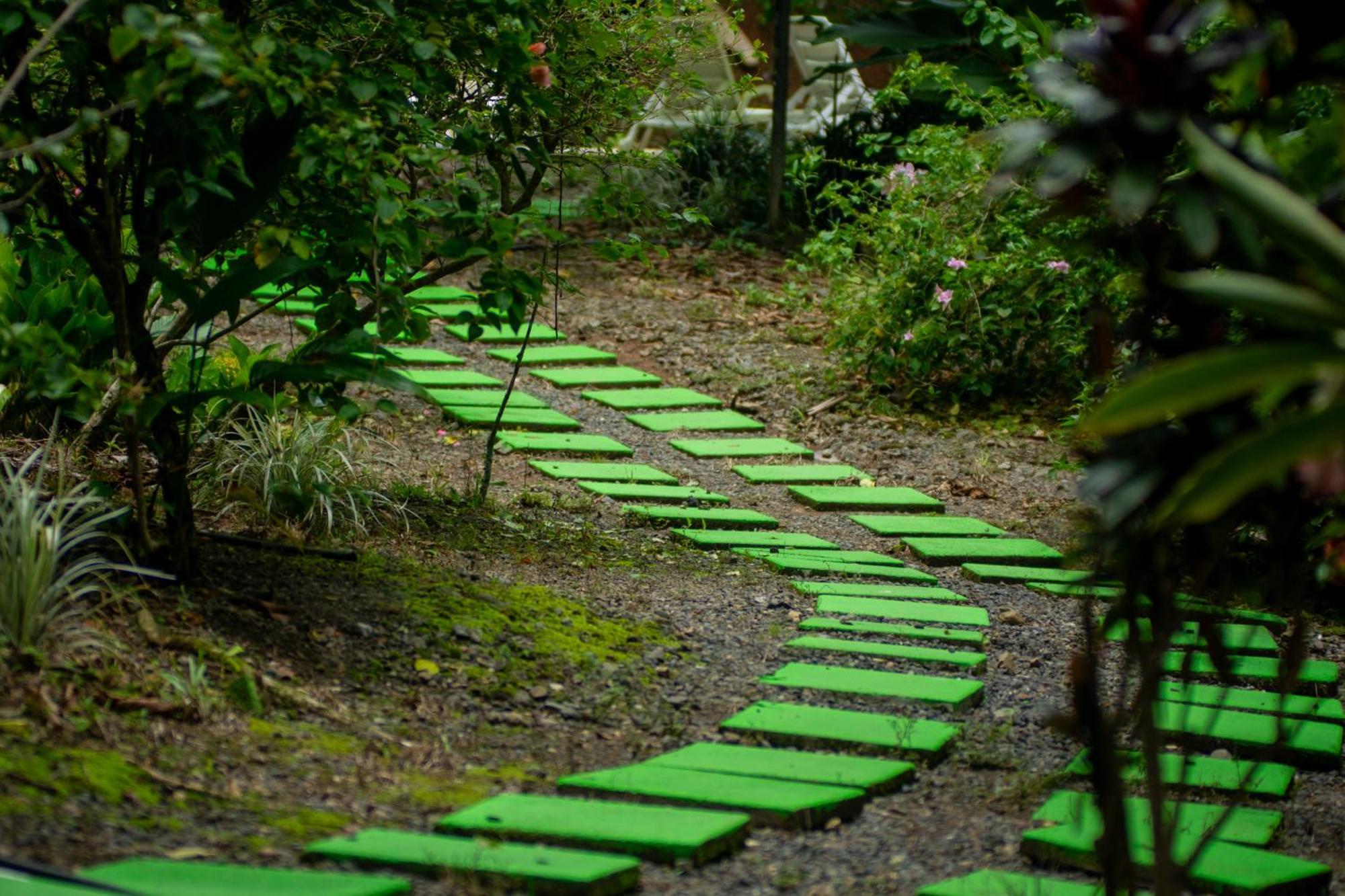 Selva Color - Forest & Lodge Quebrada Ganado