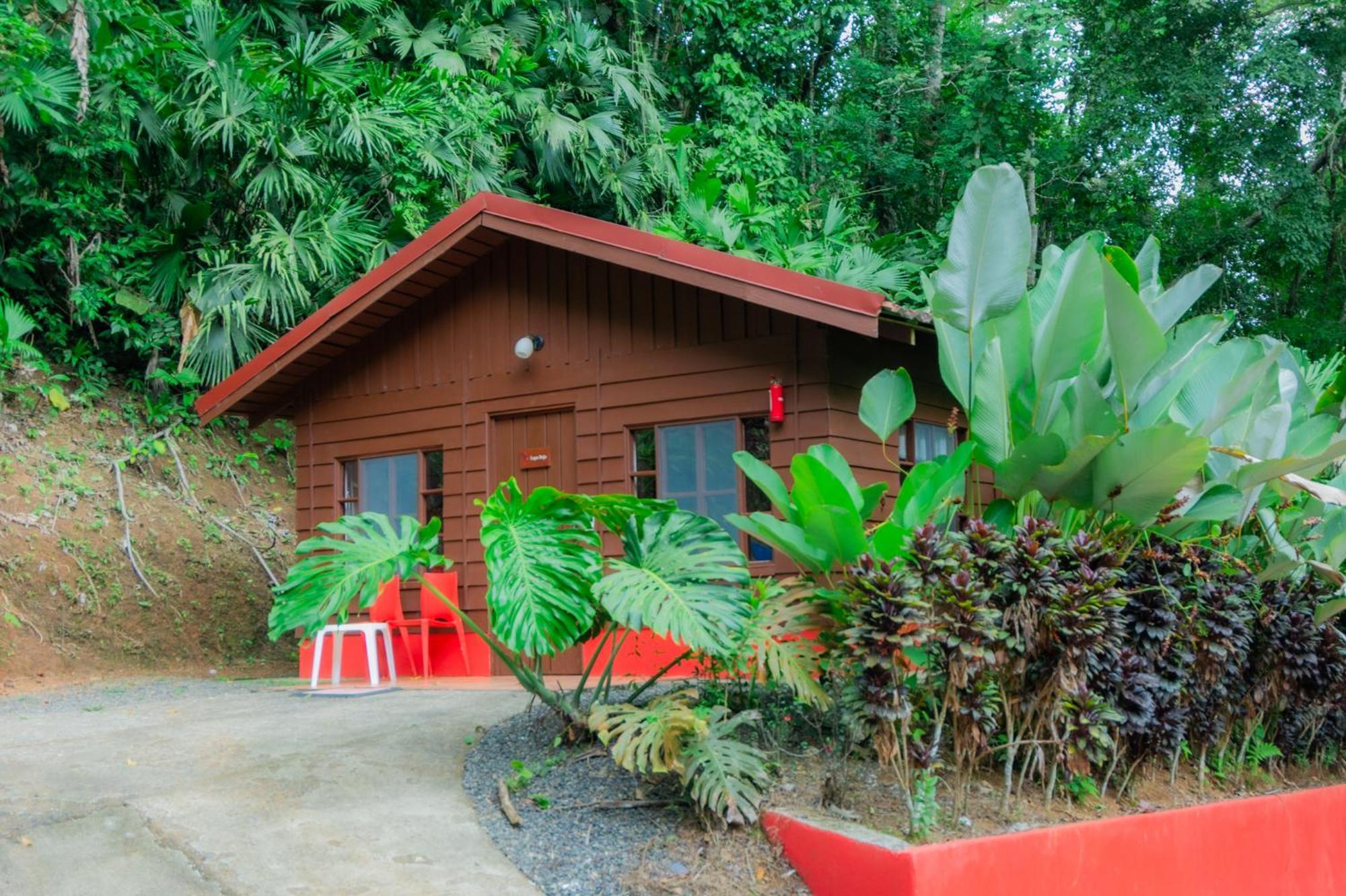 Lodge Selva Color - Forest &