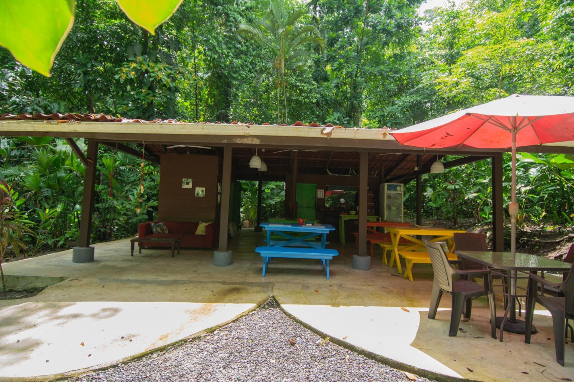 Lodge Selva Color - Forest & *