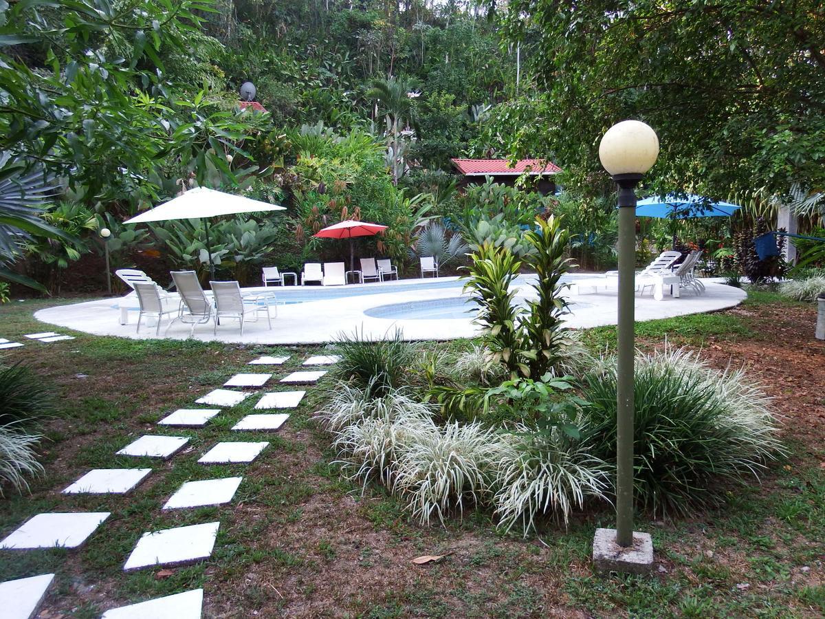 Selva Color - Forest & Lodge Quebrada Ganado